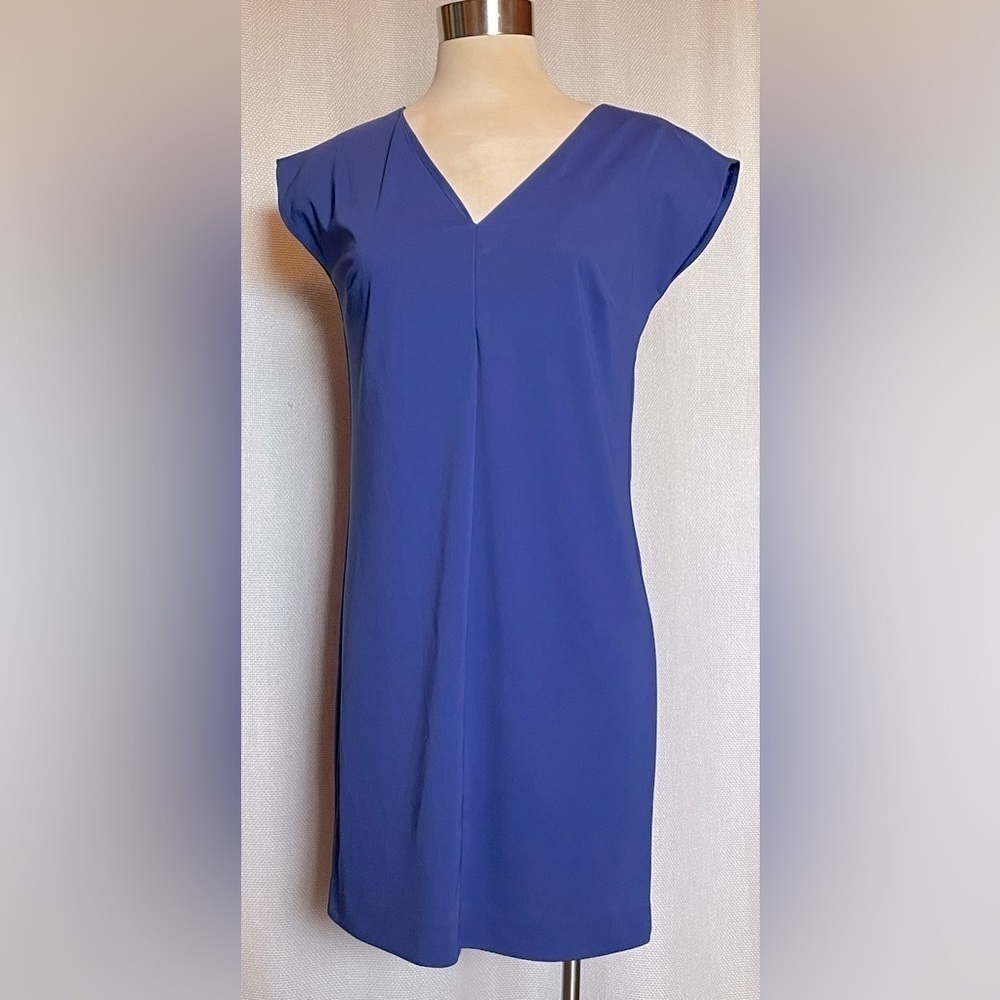 Susana Monaco dress